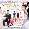 完美丈夫(2011年周家文、陳家霖執導電視劇)