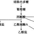 短鏈脂肪酸 短鏈脂肪酸