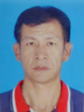 林偉民(廣東省江門市蓬江區棠下鎮副鎮長) 林偉民(廣東省江門市蓬江區棠下鎮副鎮長)