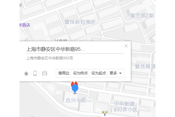 中華新路950號 中華新路950號