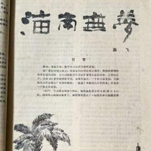 海南無夢(燕飛創作的紀實文學作品)