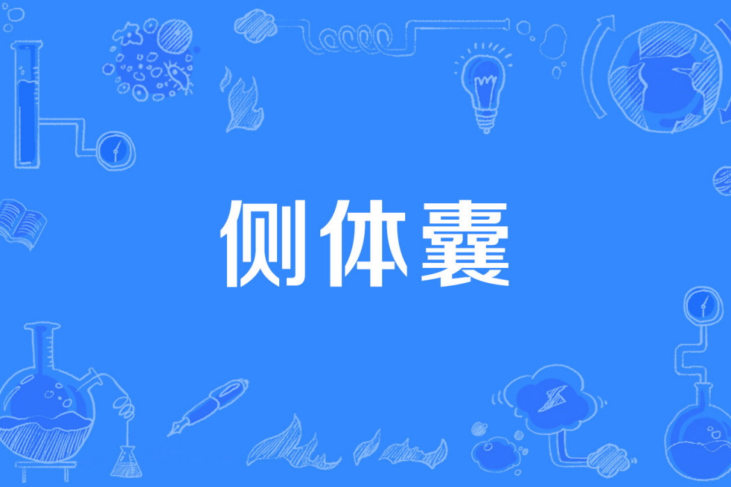 側體囊