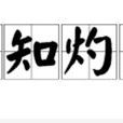真知灼見(成語) 真知灼見(成語)