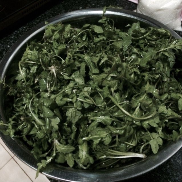 疙瘩菜 疙瘩菜