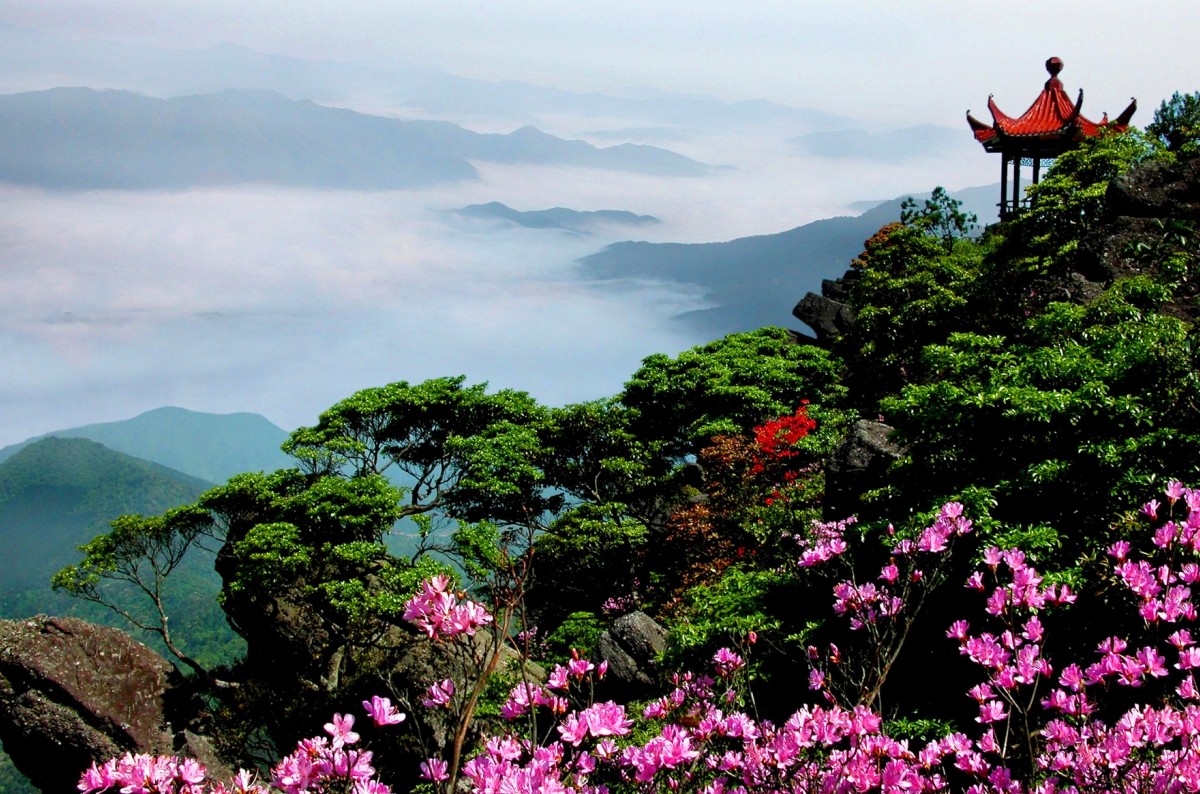 齊雲山自然保護區