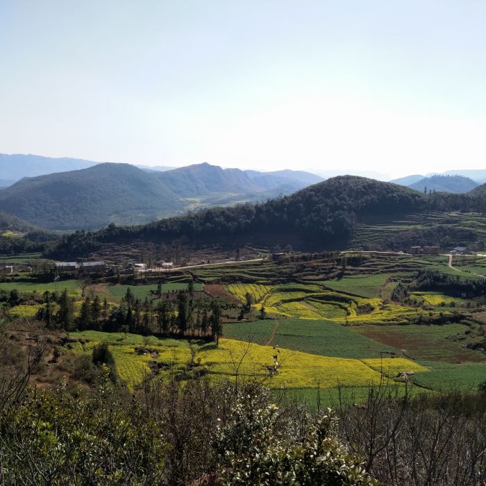白木甲村 白木甲村