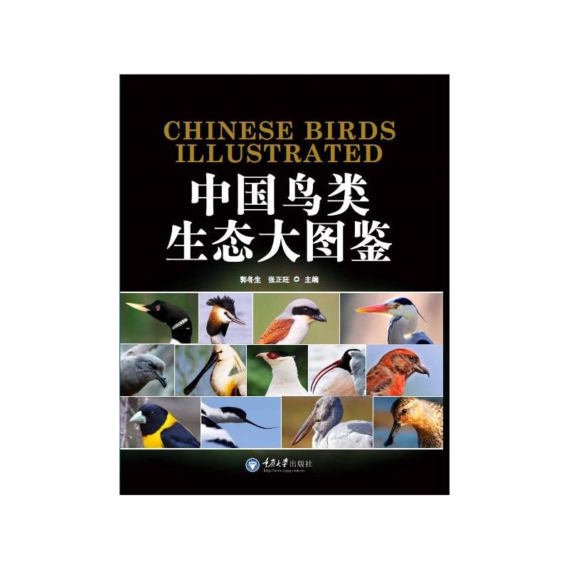 中國鳥類生態大圖鑑