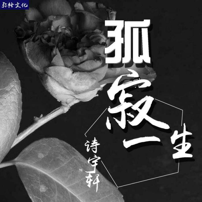 孤寂一生 孤寂一生