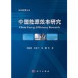 中國能源效率研究