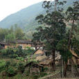 五路口村 五路口村