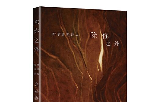 除你之外(2018年作家出版社出版的圖書) 除你之外(2018年作家出版社出版的圖書)