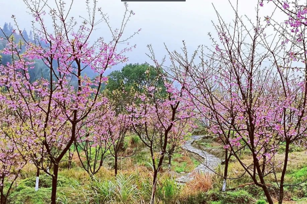 花海原居 花海原居