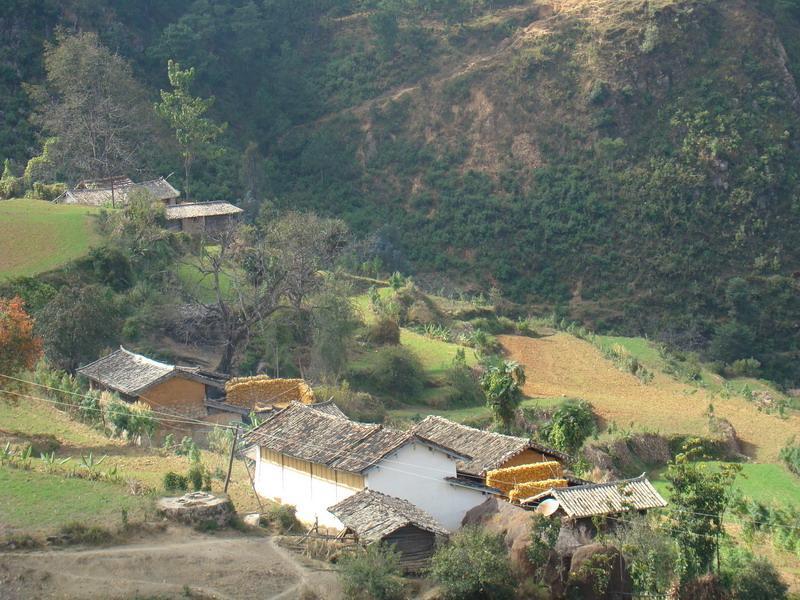 柑子坪村(雲南省西疇縣法斗鄉坪柑子坪村) 柑子坪村(雲南省西疇縣法斗鄉坪柑子坪村)