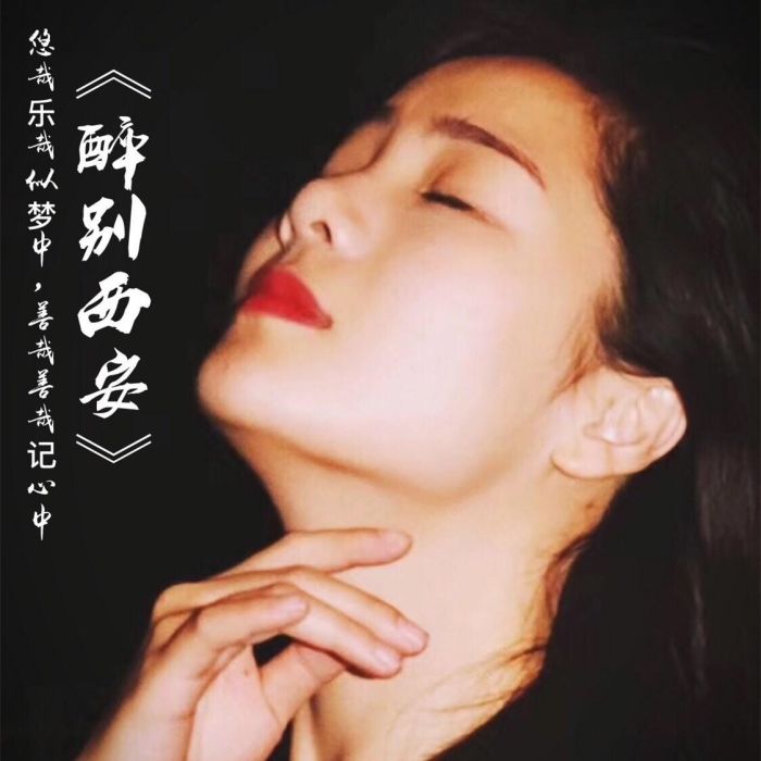 醉別西安 醉別西安
