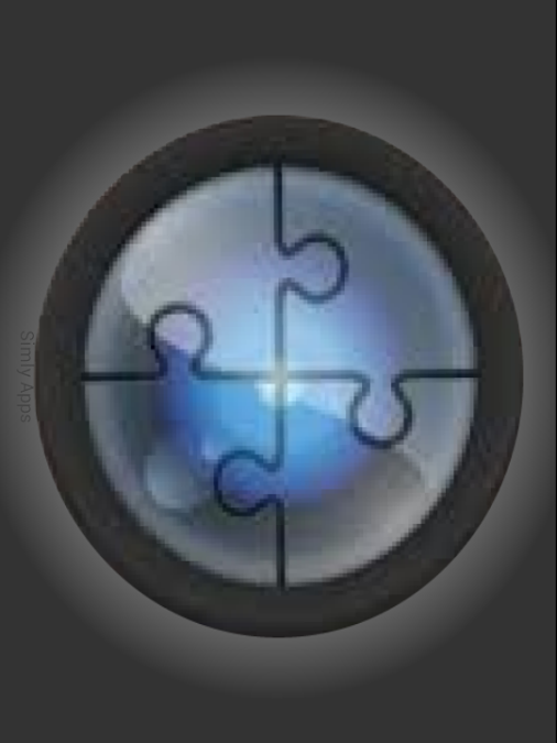 Cam Puzzle Cam Puzzle