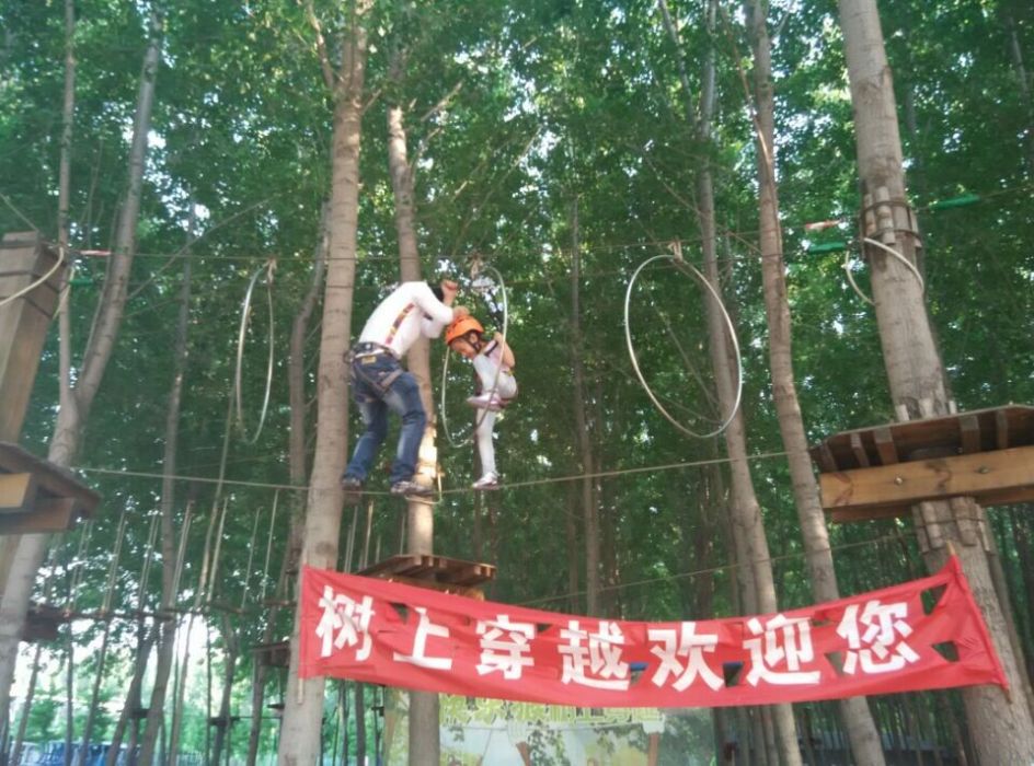 樹上穿越 樹上穿越
