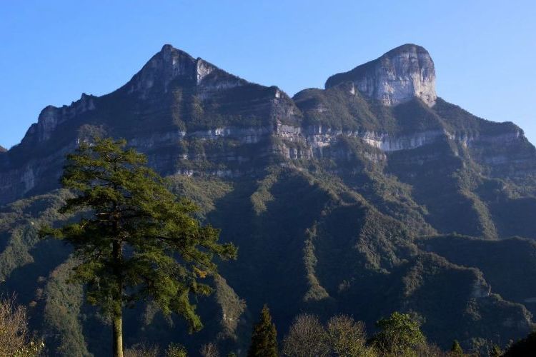 湖北鹹豐二仙岩濕地省級自然保護區(二仙岩) 湖北鹹豐二仙岩濕地省級自然保護區(二仙岩)