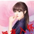 擁夜入懷 擁夜入懷