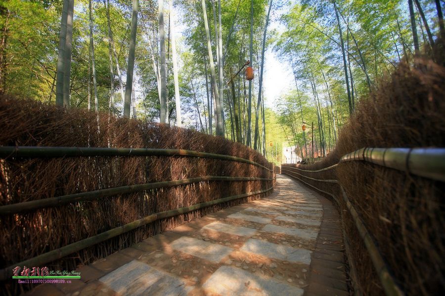 竹林彎村 竹林彎村