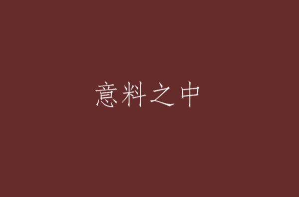 意料之中(小說)