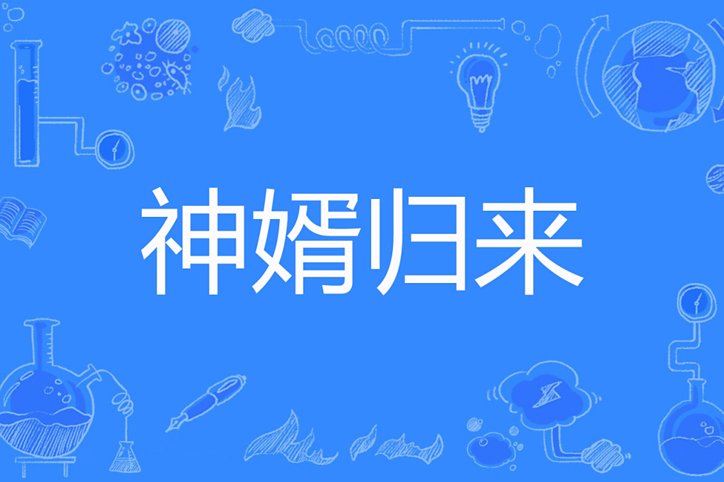 神婿歸來(十年方舟著網路小說) 神婿歸來(十年方舟著網路小說)