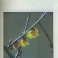 花痴日記(2005年重慶出版社出版圖書) 花痴日記(2005年重慶出版社出版圖書)