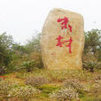 朱村(安徽省黃山市屯溪區奕棋鎮下轄村) 朱村(安徽省黃山市屯溪區奕棋鎮下轄村)