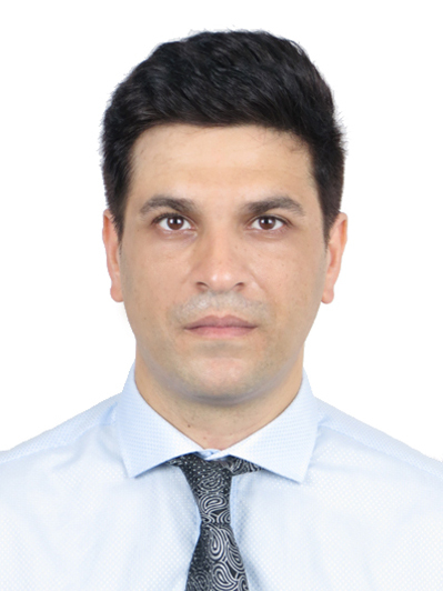 M. S . H. Al-Furjan M. S . H. Al-Furjan