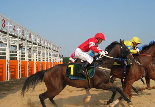 內蒙古賽馬 內蒙古賽馬