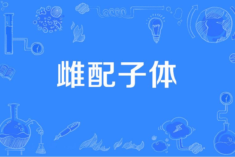 雌配子體 雌配子體