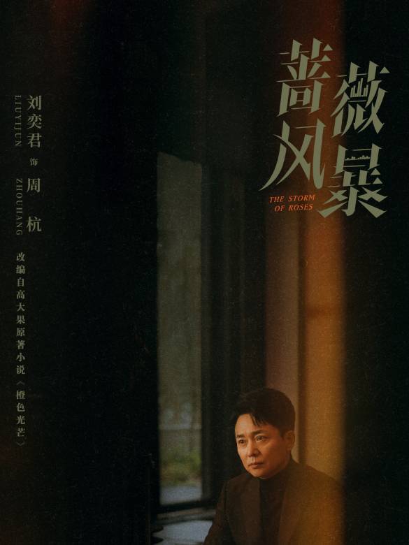 薔薇風暴(2024年惠楷棟執導的職場劇)