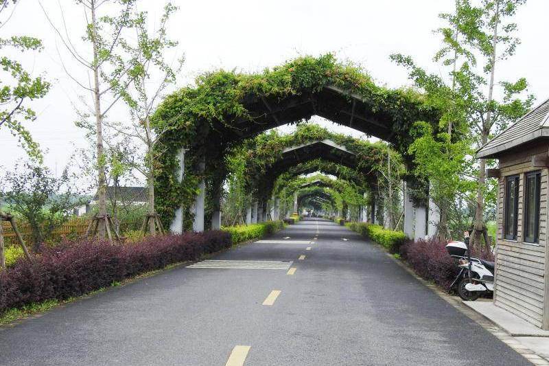 紫藤路 紫藤路