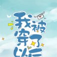 我被穿了以後 我被穿了以後