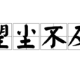 望塵不及 望塵不及