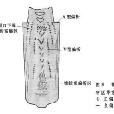 鋼錠巨觀偏析(區域偏析) 鋼錠巨觀偏析(區域偏析)