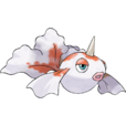 角金魚 角金魚