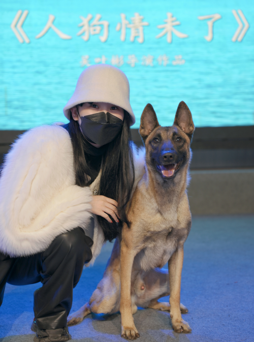 人狗情未了(2023年吳葉彬執導的電影) 人狗情未了(2023年吳葉彬執導的電影)