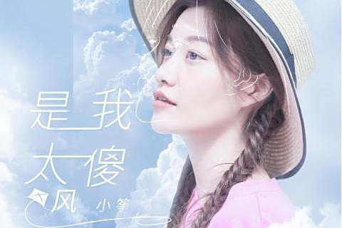 是我太傻(風小箏演唱的傷感風格單曲) 是我太傻(風小箏演唱的傷感風格單曲)