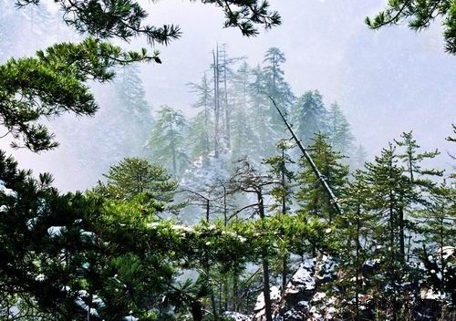 貴清山鎮 貴清山鎮