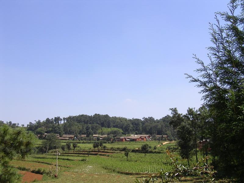 大丫口村(雲南省尋甸縣河口鄉下轄村) 大丫口村(雲南省尋甸縣河口鄉下轄村)