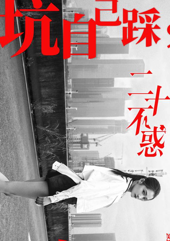 二十不惑(2019年黎志執導電視劇)