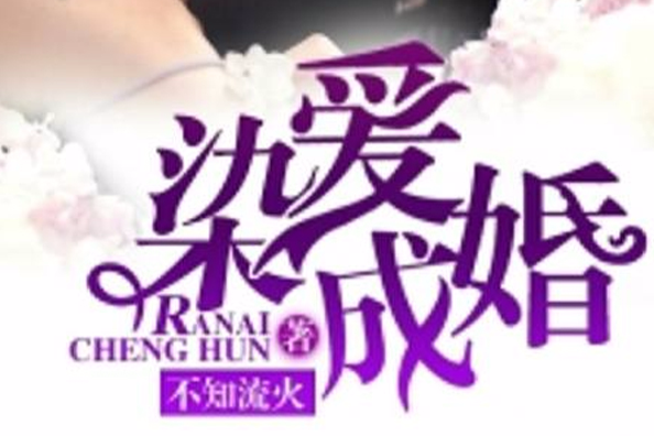 染愛成婚(不知流火創作的網路小說) 染愛成婚(不知流火創作的網路小說)