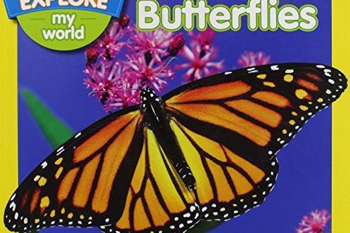 Explore My World Butterflies Explore My World Butterflies