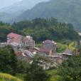 坐凳村 坐凳村