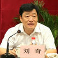 劉奇(河南師範大學化學化工學院副教授) 劉奇(河南師範大學化學化工學院副教授)