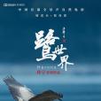 鷺世界 鷺世界