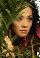 非常完美(2009年章子怡主演電影)