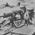 靖安軍 靖安軍