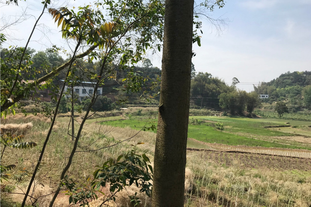 馬鞍山(中國自貢市富順縣懷德鎮境內山峰) 馬鞍山(中國自貢市富順縣懷德鎮境內山峰)