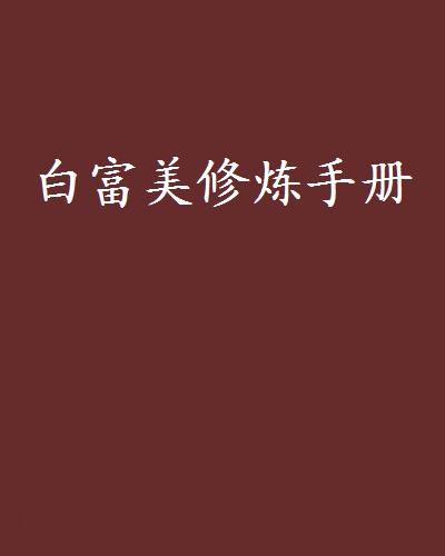 白富美修煉手冊(小說)